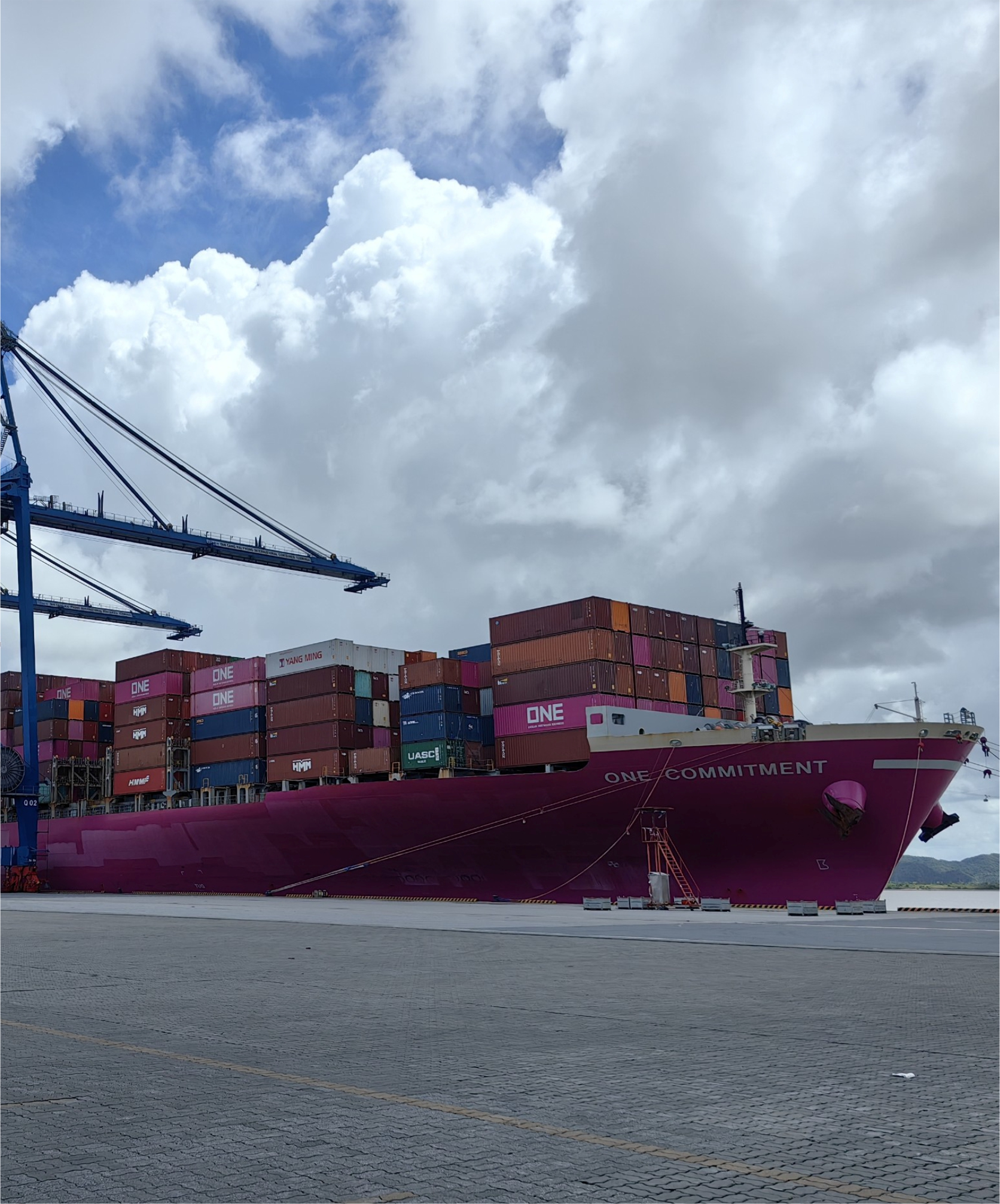 ONE COMMITENT Cắt lưới chân vịt cho tàu